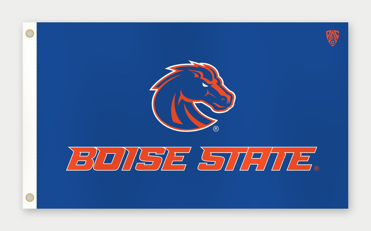 Boise State Flag