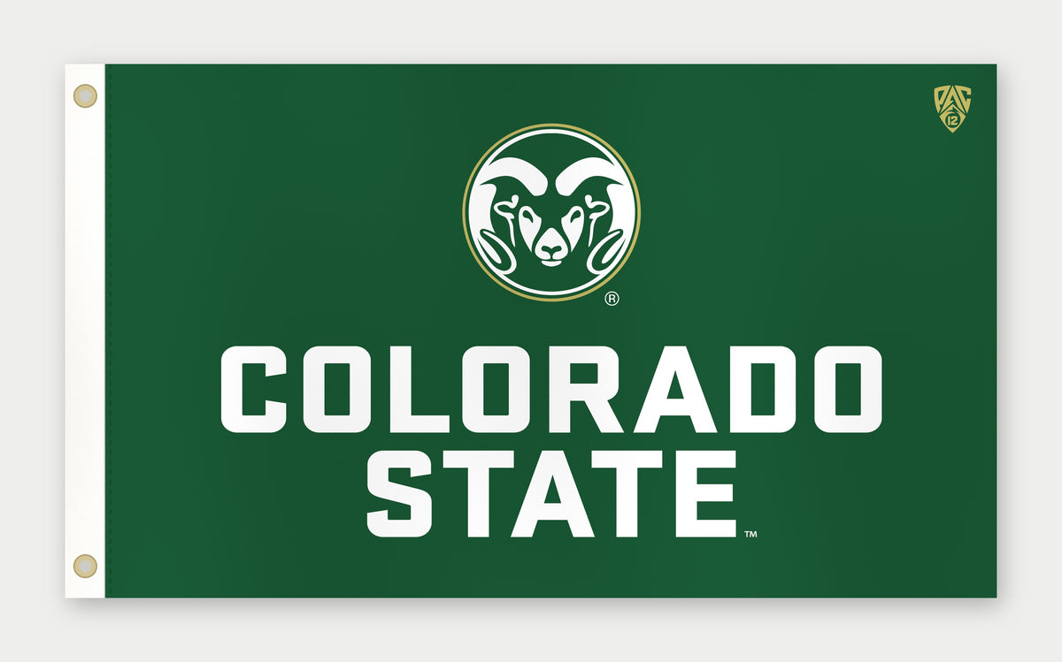 Colorado State Flag