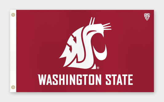 Washington State Flag